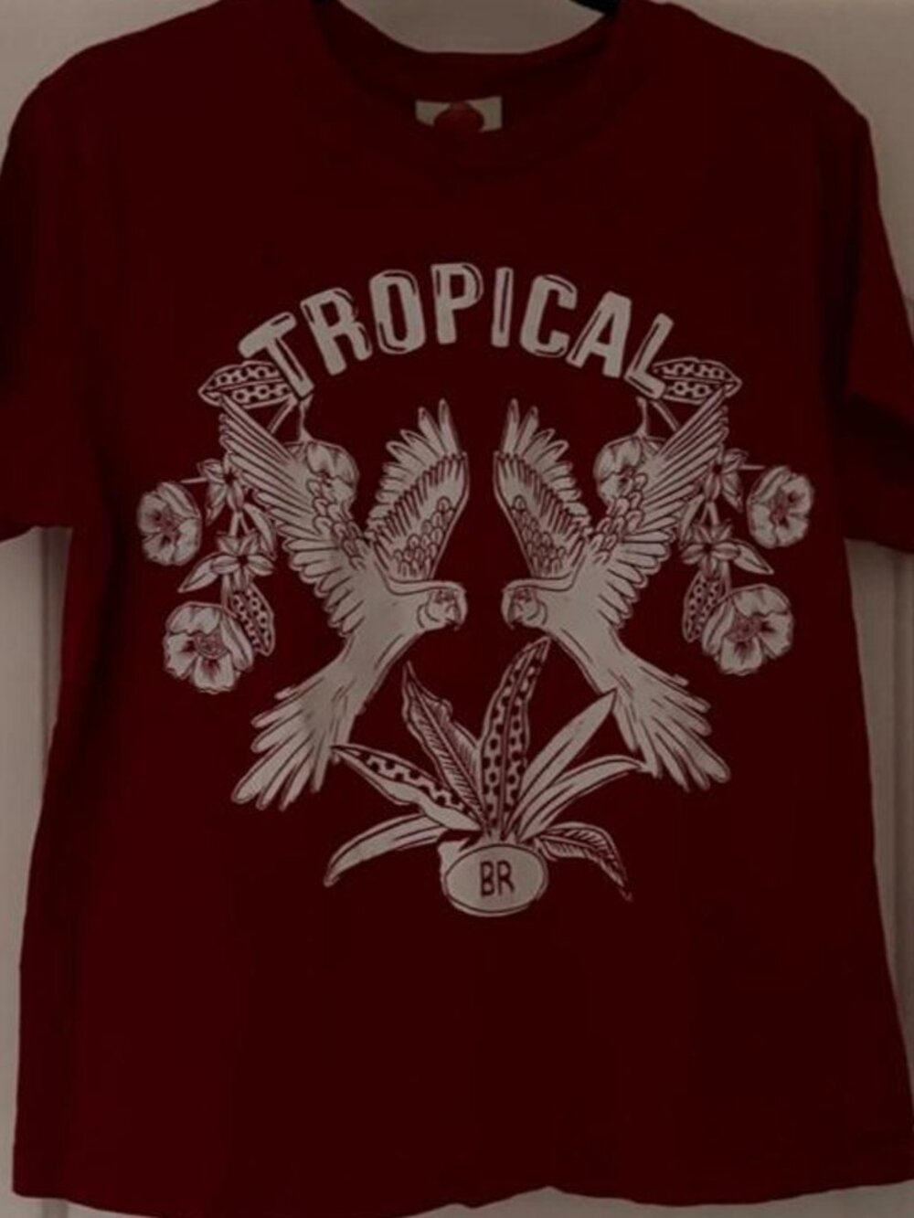 Farm Rio Women's Red and Burgundy T-shirt